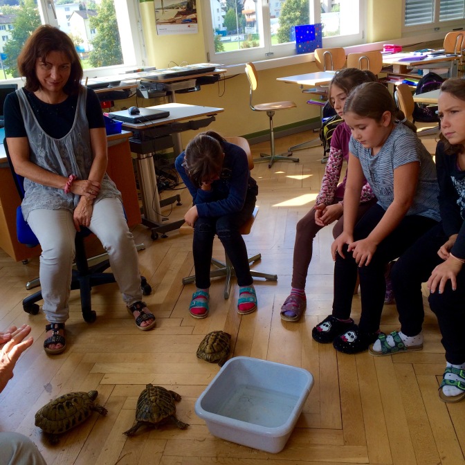 Andrea brings the tortoises to school for the kids to wash
